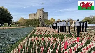Field of Remembrance, Cardiff Castle, Wales 🏴󠁧󠁢󠁷󠁬󠁳󠁿