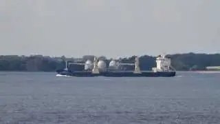 WISAFOREST | Kieler F&ouml;rde