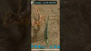 How NOT to Tame a Compy #arksurvivalevolved #dinosaur #ark #arksurvival #gaming #shorts #arkmobile