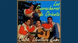 Llenllere Cuma (Palo Palo Bonito)