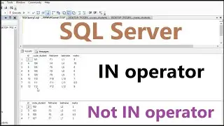 sql tutorial for beginners: specify multiple values in a WHERE clause in SQL using IN operator
