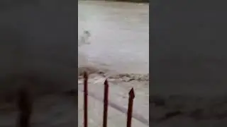 v1b: Flood of 2010 G10 Park #pakistan #flood #2010