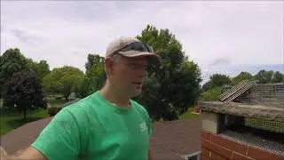 Squirrels in the Attic Through the Chimney : A Unique Squirrel Removal Situation