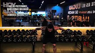Aprende hacer vuelos posteriores o dumbbell reverse fly de forma correcta 