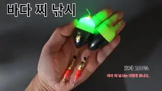 바다 찌 낚시 조과보장200%