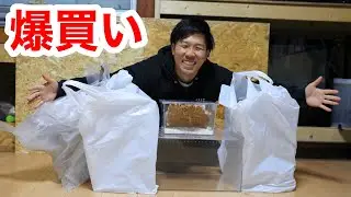 関東最大の爬虫類イベント「東レプ」で爆買いしてきた物を紹介します
