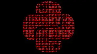 Python Programmer's Glossary Bible: For loops and While loops