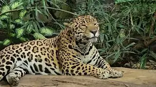 20250929 140037 X265
