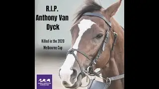2020 Melbourne Cup