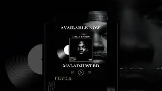 Maladjusted - Mega Evers (Album Cover)