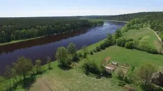 One day with nature: Free HD video sample background Bird singing, relaxing Latvian forest sounds #8