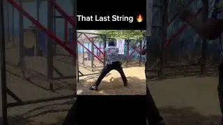 Edcel Gino Crazy Speed