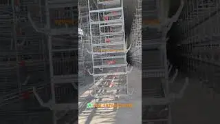 Install 6 tier H type chicken cage