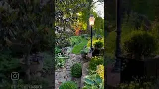 Morning Garden walk #garden #gardening #morningwalk