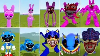 I DISCOVERED NEW EVOLUTIONARY FORMS OF THE SPRUNKI PINKI VS ALL SPRUNKI SONIC IN GARRY'S MOD !