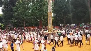 Suggi fest