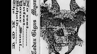 Codex Gigas -  Ulcus Cruris (1990)