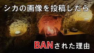 #6 くくり罠でシカが獲れた！シカの投稿がバンされた、今年あった良い事と来年の抱負...etc