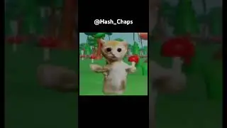 El Gato #edit #elgato