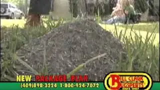 Standing between your family and pests! Bill Clark Bugsperts