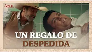 Torrijos se cobra la humillación de Tomás | Amor Amargo 1/4 | Capítulo 20