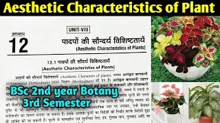 Aesthetic Characteristics of Plants in Hindi || BSc 2nd year Botany 3rd Semester