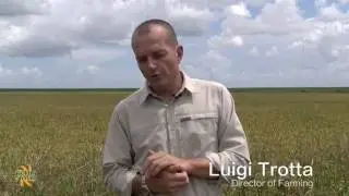 Florida Crystals Rice Farms: Wildlife Conservation