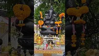 om shri ganeshay namah #ytshorts #shorts#thailand #phra phikanet 🙏