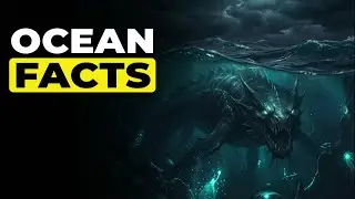 Mind-Blowing Ocean Facts That Will Change How You See the Sea