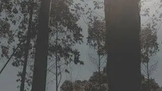 Freaks ~ Jordan Clarke (sped-up version)