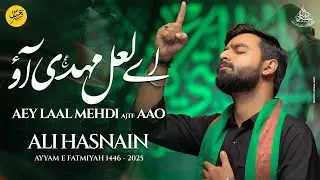 Ayyam e Fatmiyah Noha 2024 | AEY LAAL MEHDI AAO | Ali Hasnain | Noha Bibi Fatima |