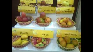 Post Harvest Losses