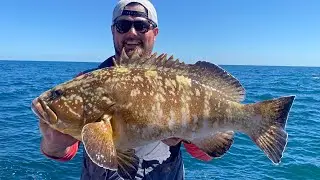 Inchiku Jigging: Grouper Madness Escalates