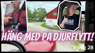 Vi har skaffat en NY TRAKTOR! - Vlogg 28