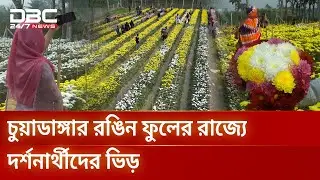 ফুল চাষে ভাগ্যবদল শাকিলের, ৪ মাসেই ৭ লাখ টাকা আয়ের স্বপ্ন | DBC NEWS Special