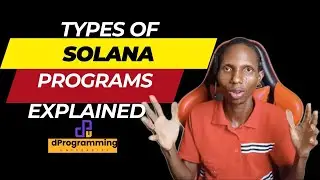 What Are The Types Of Programs In Solana EXPLAINED | Solana Program Tutorial