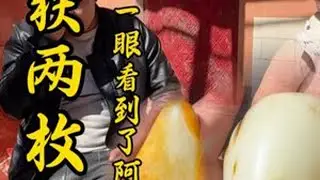 收获两枚高货 一枚做料手把件，肉质细腻，白度可以达到羊脂白了。可以做一个大龙龟或者一个大貔貅，皮色也是非常漂亮。另一个可以作为一个手把件也可以做一个大吊坠，形状像一个小山，籽型完整，满撒金皮，肉...