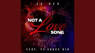 Not a Love Song (feat. Tj Sauce Kid)
