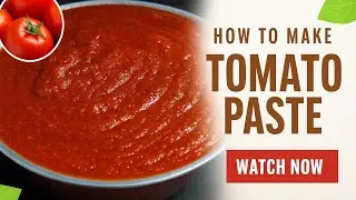 Homemade Tomato Paste Recipe | Easy & Thick Paste Perfect for Jollof and Stews!