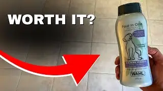 Wahl Whitening Dog Shampoo &ndash; White Pear Scent, Odor Control & Brightening Review