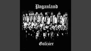 Galician Night