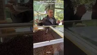 Вьетнам, кофейная плонтация Копи Лювак