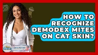 How To Recognize Demodex Mites On Cat Skin? - Ask A Pet Vet
