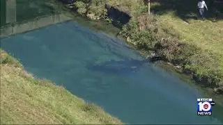 Man dies after car plows into canal off Turnpike