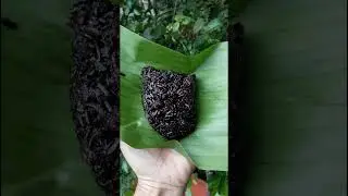 sticky rice,,, banana leaf