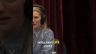 Imagining Alien Life Forms | Joe Rogan x Katee Sackhoff