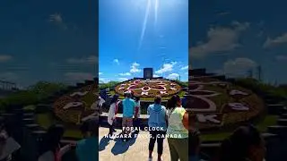 Floral Clock, Niagara Falls, Canada