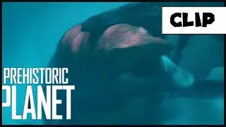 Mosasaur Fight | Prehistoric Planet