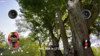 Gene Allison - Walkin' In The Park