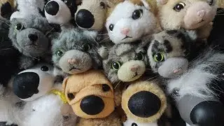 The cat collection | The dog collection | Огромная коллекция 😱